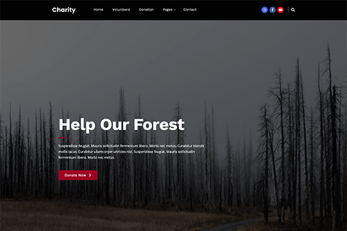 Charity Website Theme