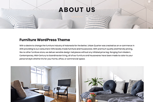 Furniture Store Hosting Plan | Web Design Features