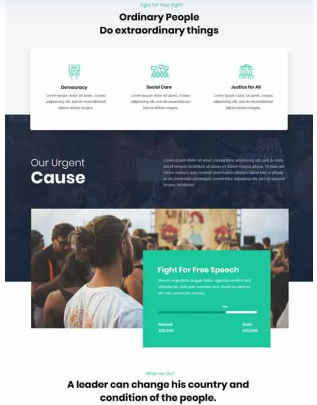 Activism Theme Responsive Design