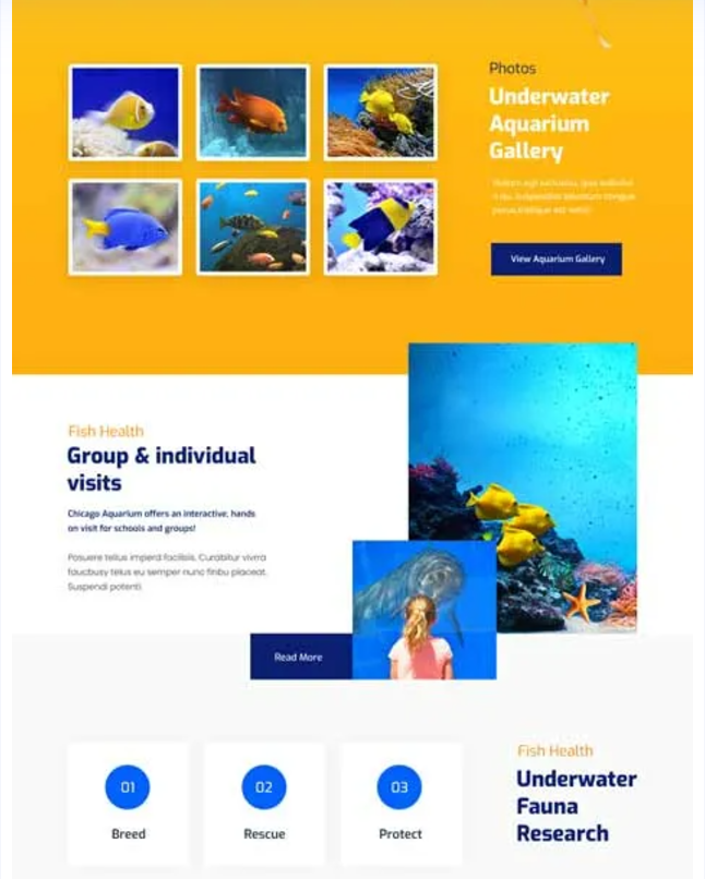 Aquarium Theme Gallery