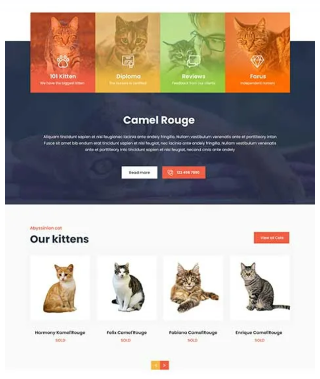 CatsPro Theme Design