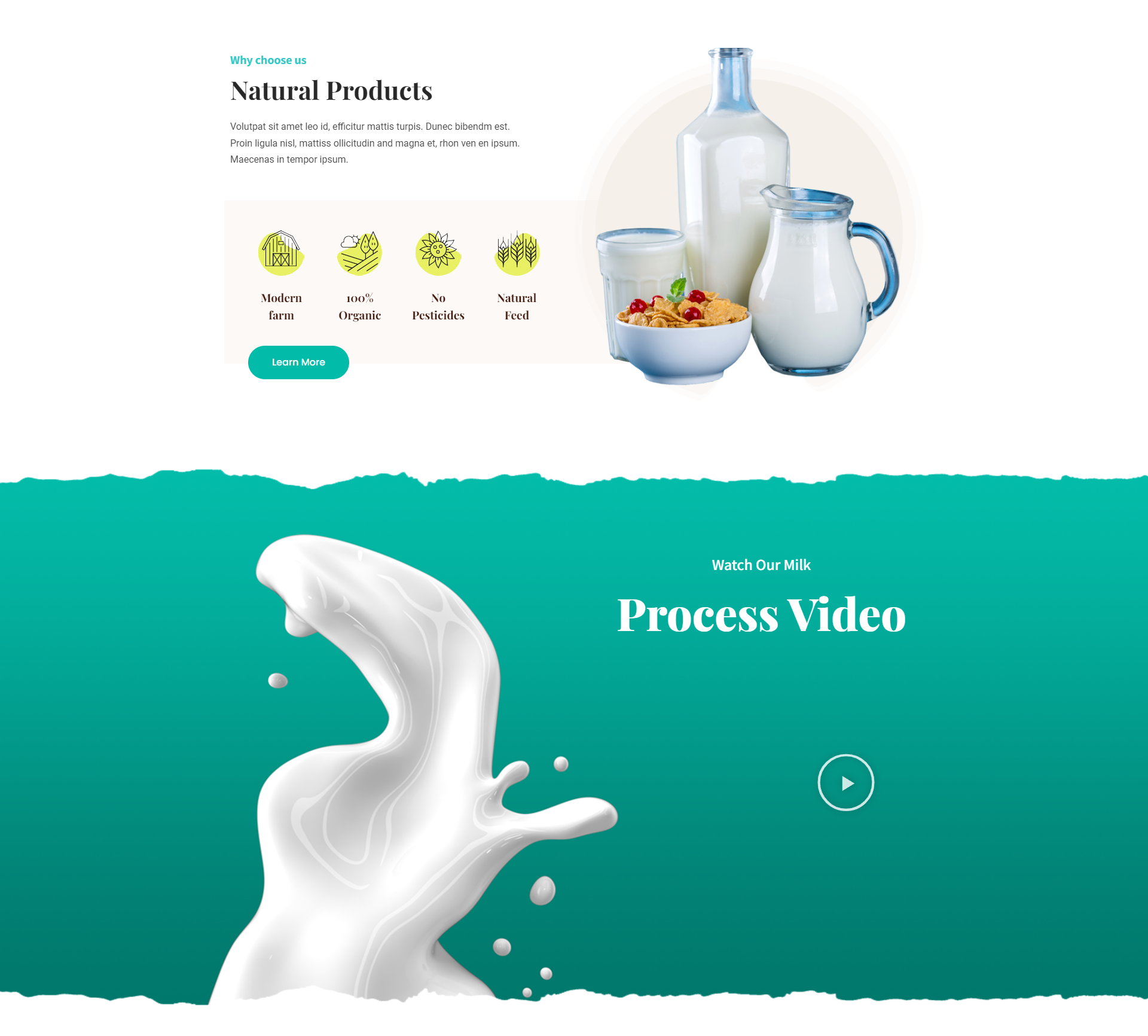 DairyFarm Pro Theme Design