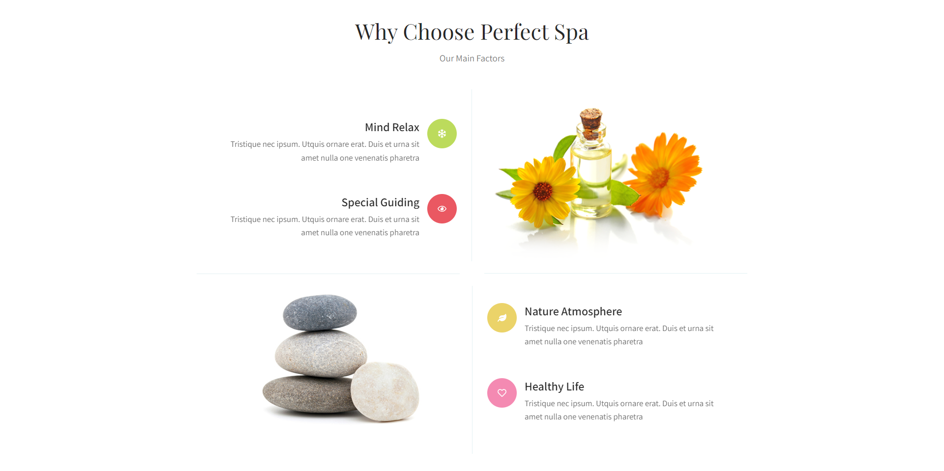 Ele-Spa Theme Design für Wellness-Zentren