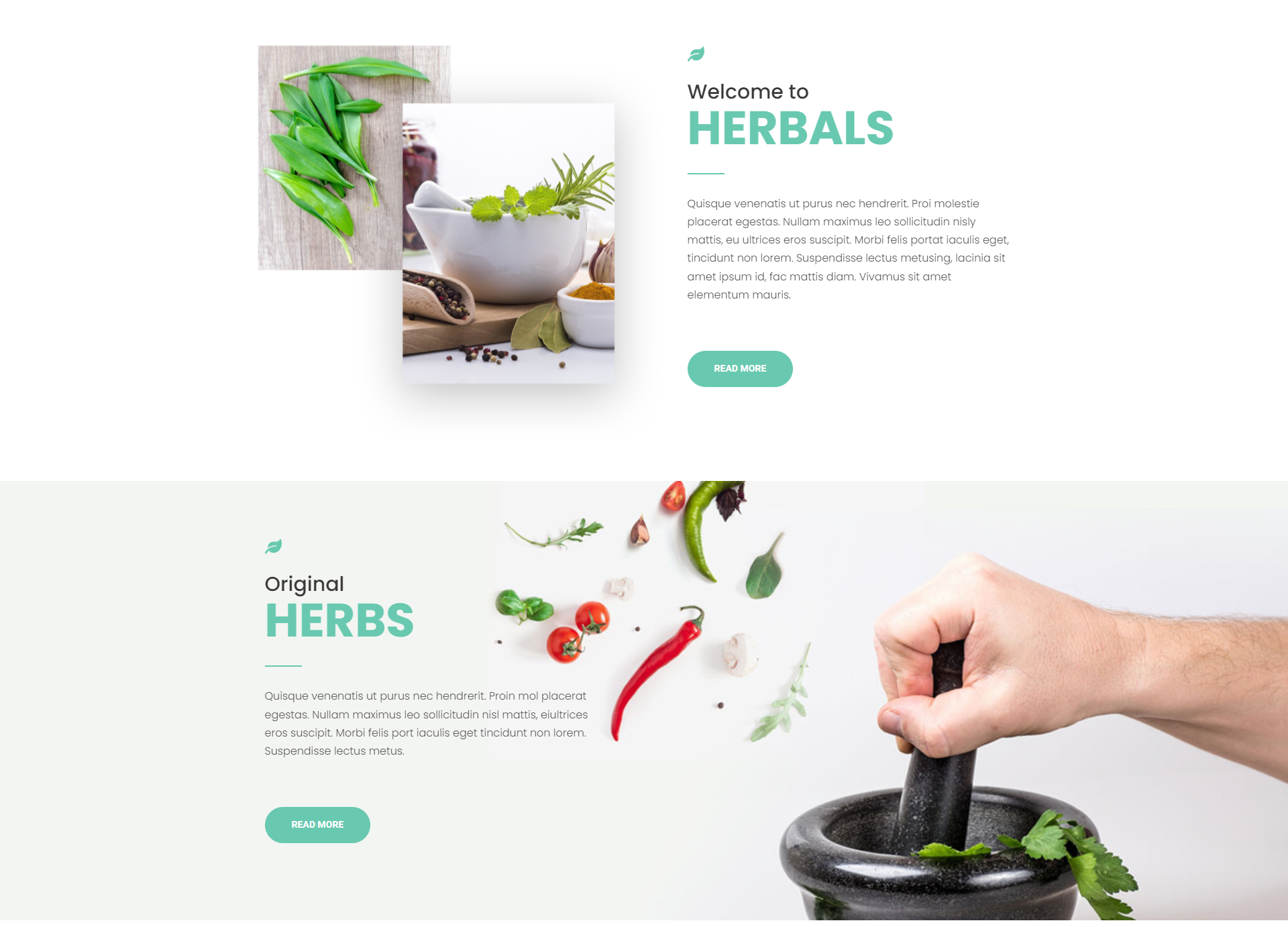 Herbal Theme Design