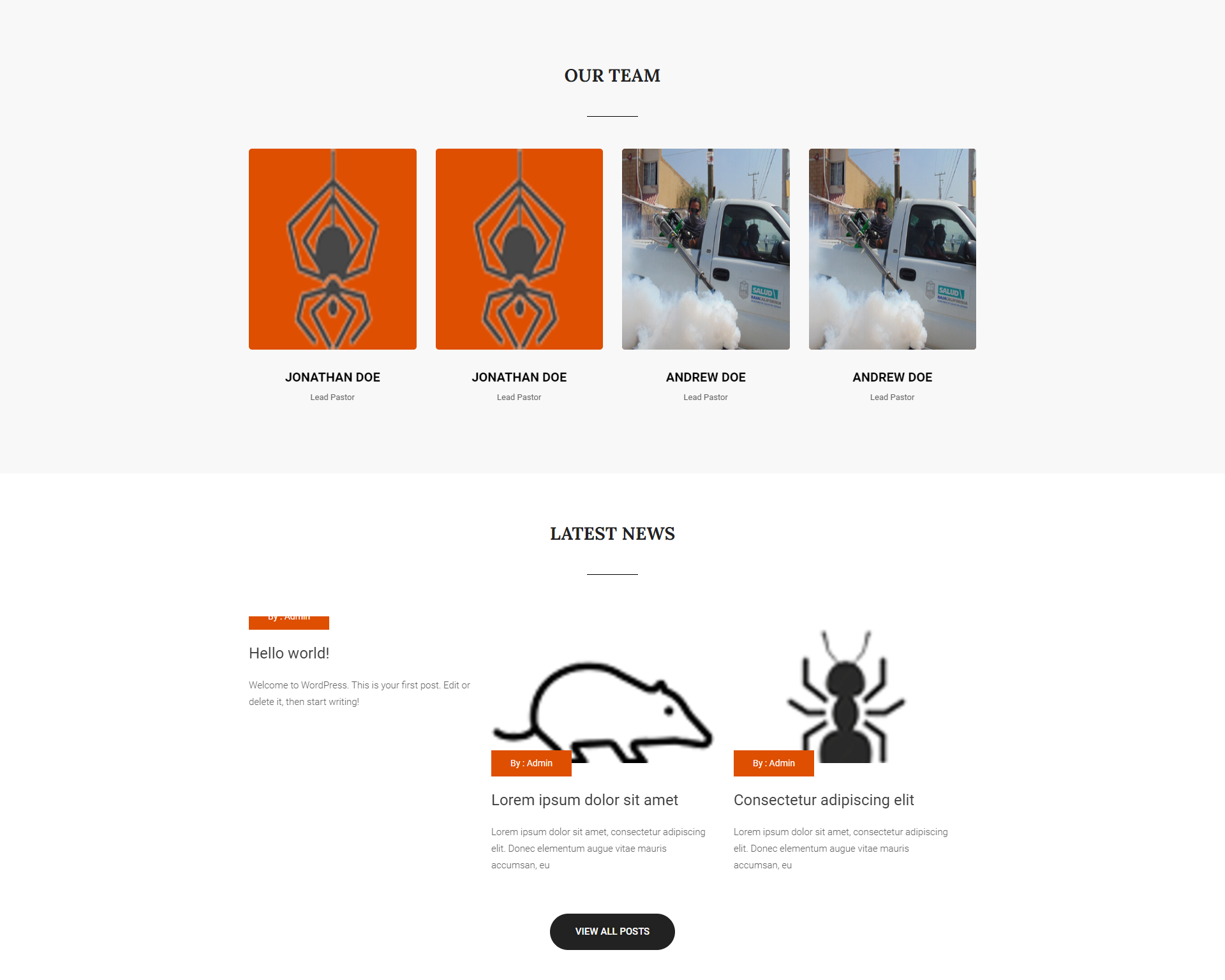 Pest Control Theme Design