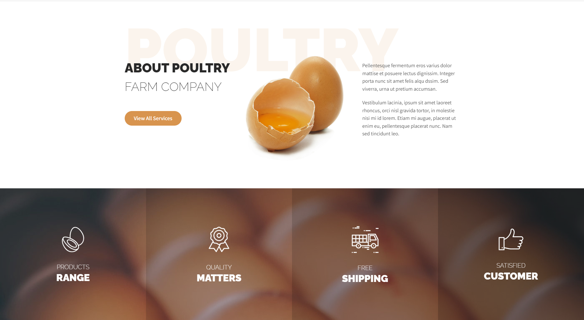 Poultry Farm Theme Design